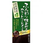 Brain Cosmos 利尻昆布 染发膏 